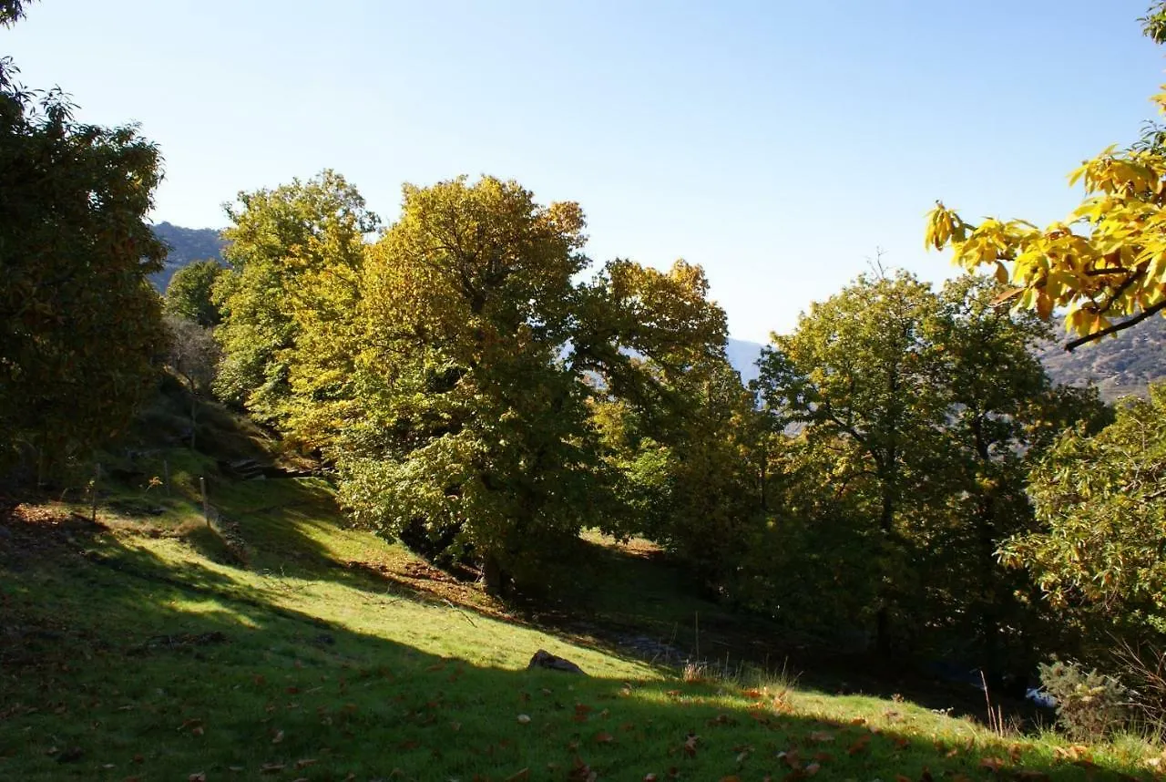 Country house Casa De La Ermita Guest House Bubion